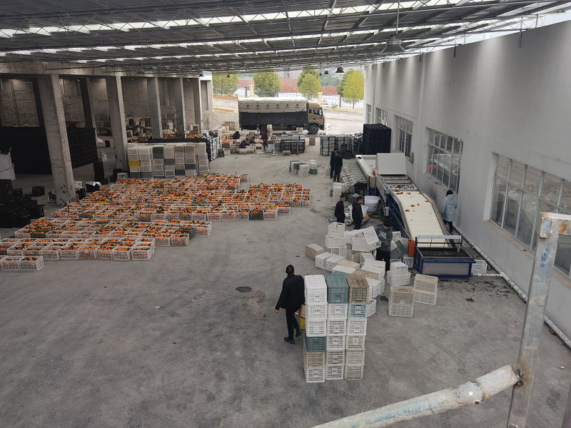 1645586755158511.png 奉節(jié).png