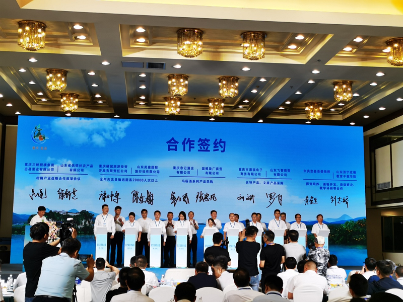 1719303643562544.png 圖片10.png