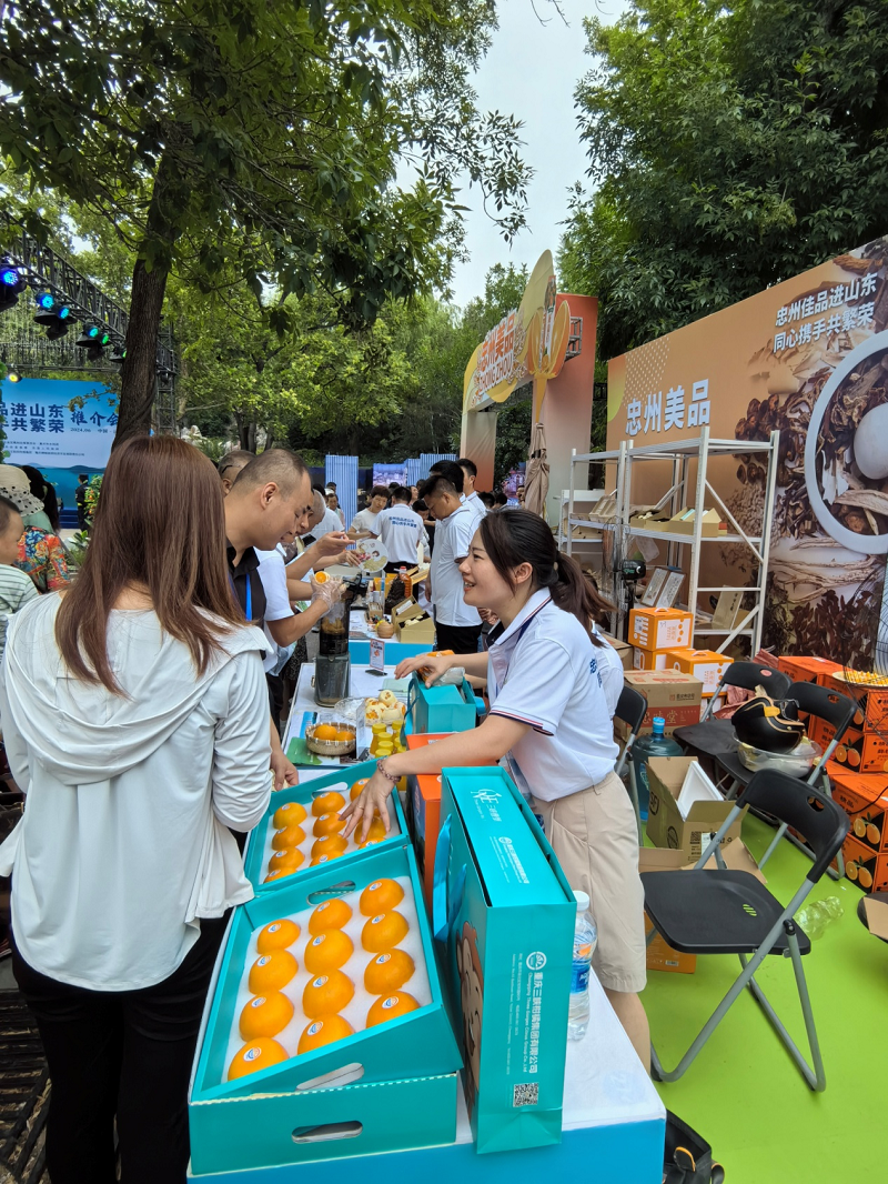 1719303658645425.png 圖片12.png